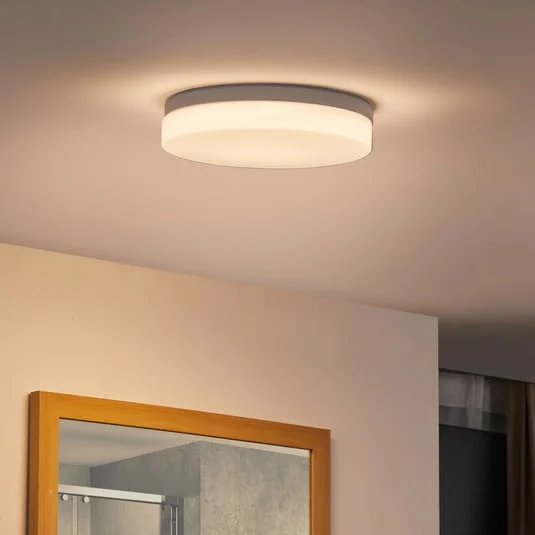 Prios Wynion Lámpara de techo LED CCT Interruptor DIP 30cm