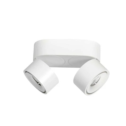 Downlight LED Fez, blanco, 2 luces, metal, orientable