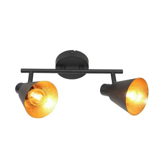 Downlight Oeroe, 2 luces, negro, metal, E14