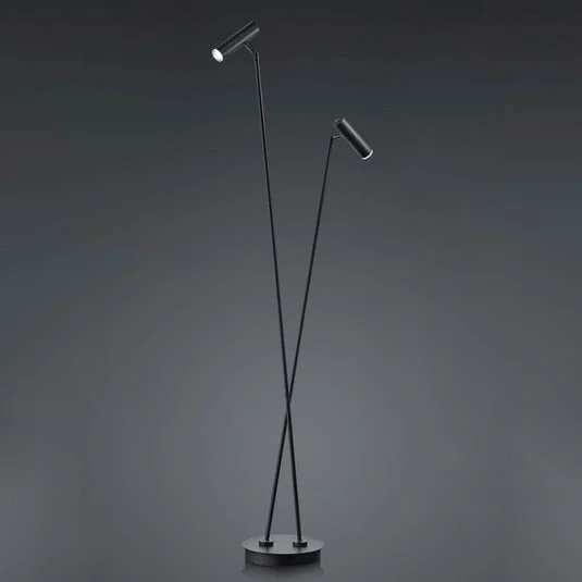 Lámpara de pie LED Tom, 2 luces, negro