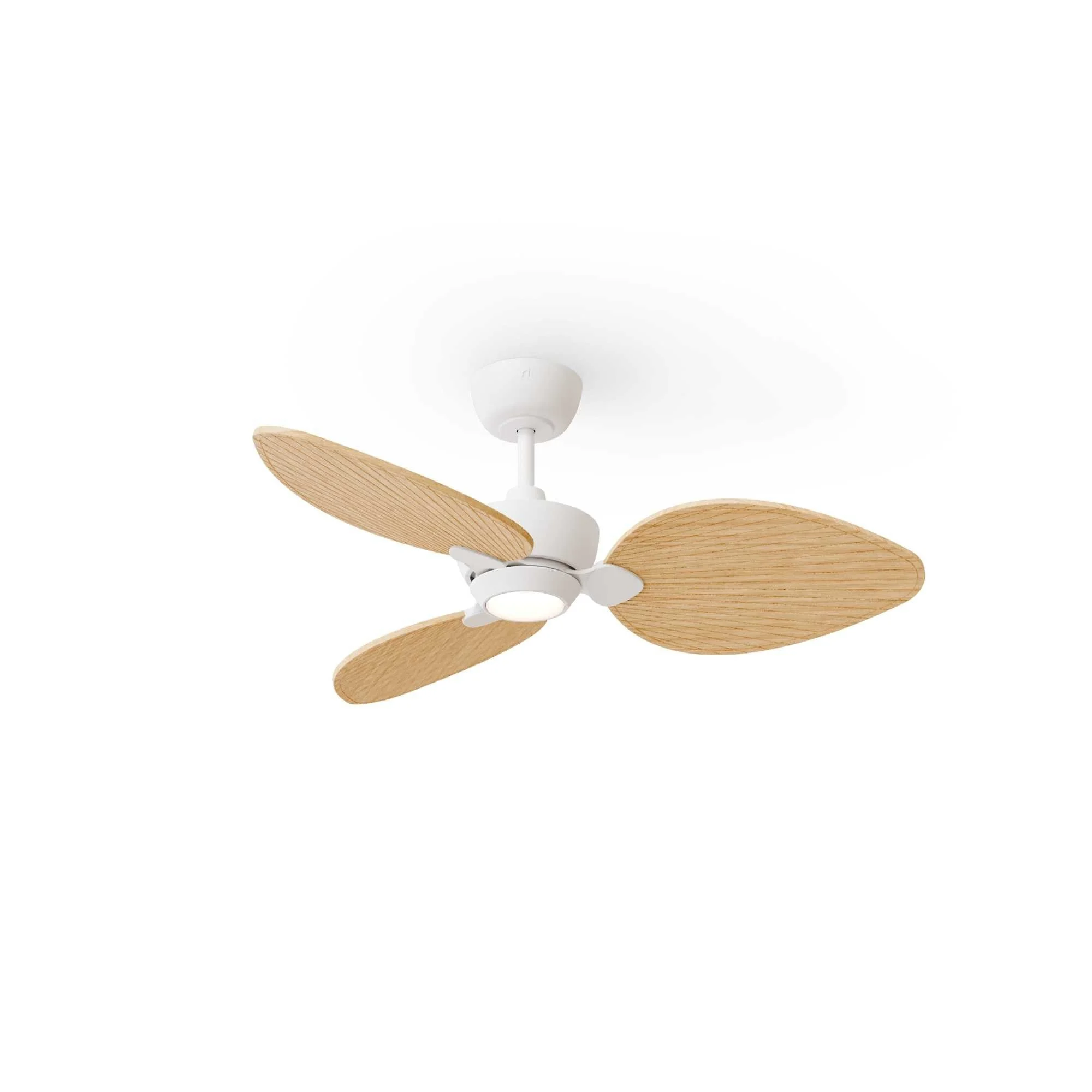 Ventilador de techo con luz Sulion Alma 100cm LED blanco y madera clara motor DC CCT 2247557