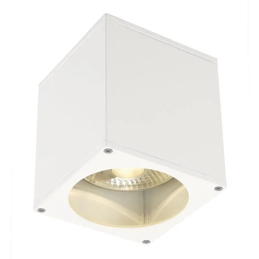 SLV Big Theo plafón para exterior, blanco