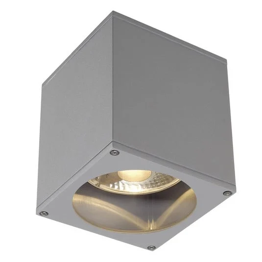 SLV Big Theo plafón para exterior, gris