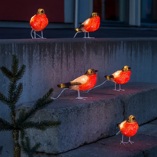 Rotkehlchen - LED figuras luminosas acrílico 5 piezas