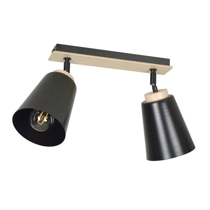 Emibig Luz de techo Atlas Acero Negro | Apta para 2x E27 - Max 15W
