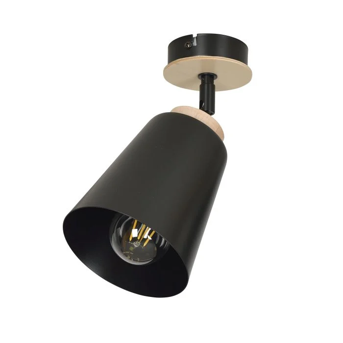 Emibig Luz de techo Atlas Acero Negro | Apta para 1x E27 - Max 15W