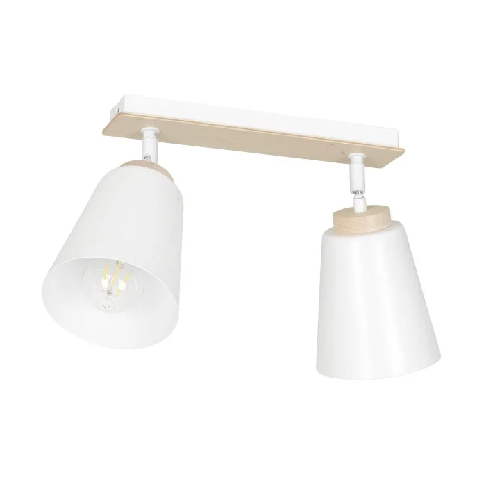 Emibig Luz de techo Atlas Acero Blanco | Apta para 2x E27 - Max 15W