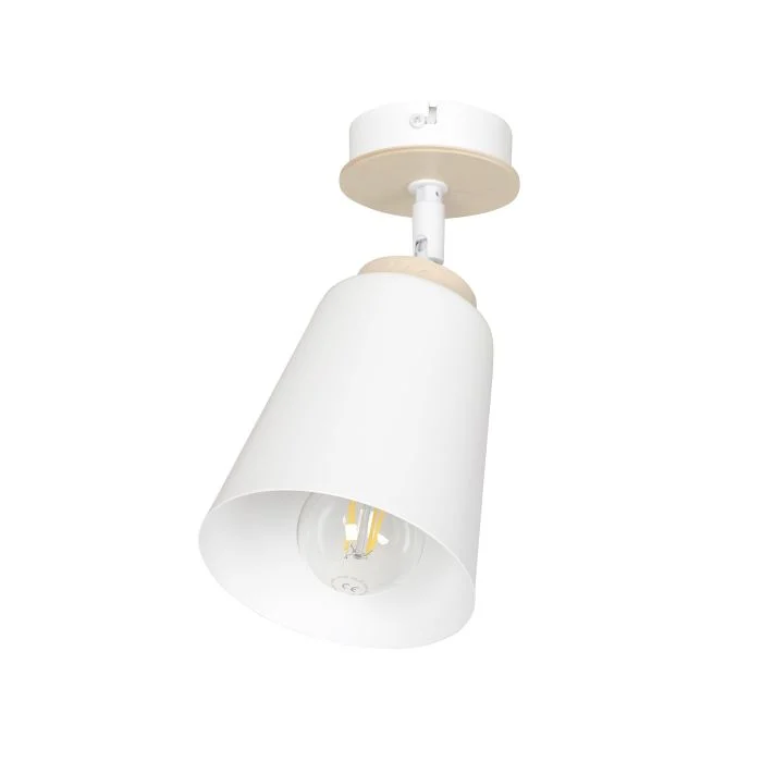 Emibig Luz de techo Atlas Acero Blanco | Apta para 1x E27 - Max 15W