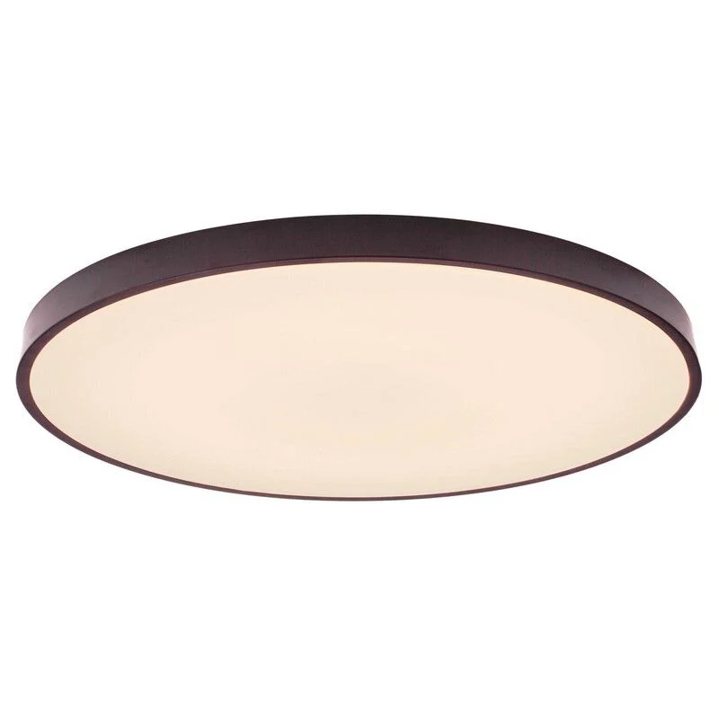 Lámpara de techo negra industrial, Lena, 80W, ajustable entre luz blanco cálido y frío LED, con mando a distancia