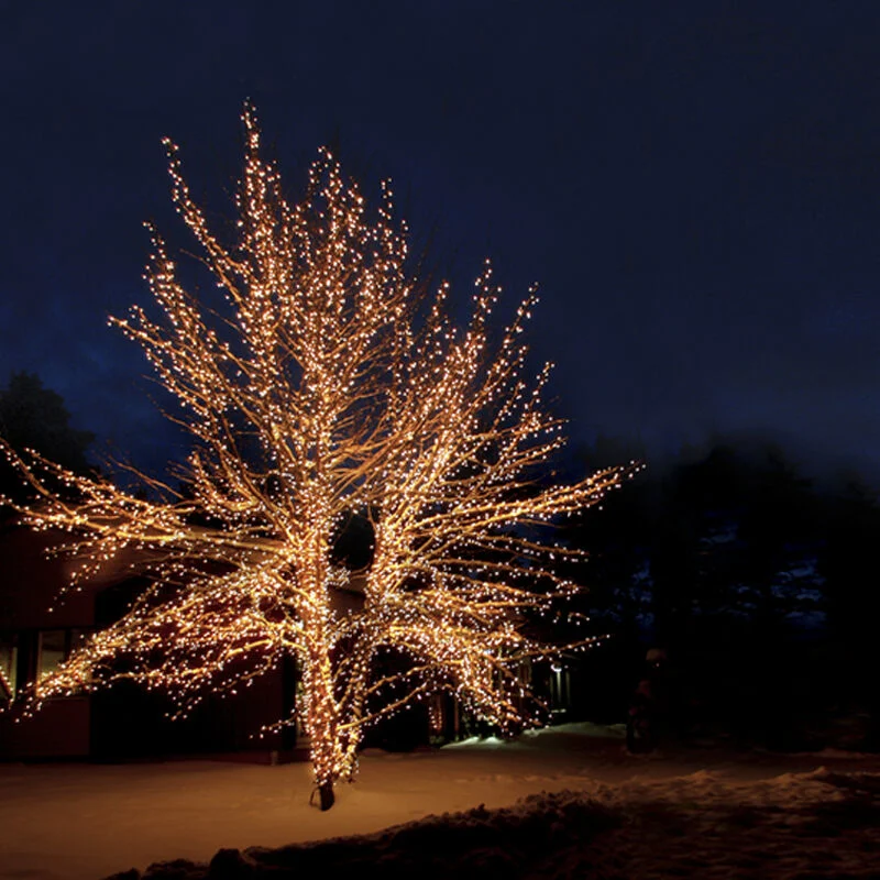 Iluminación de árbol enlazable negra de 40M, 10 leds por metro, IP67 - Blanco cálido