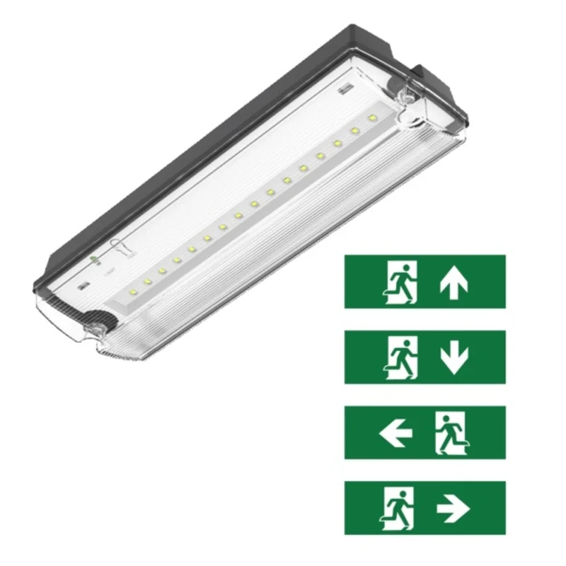 Iluminación de emergencia negra con pictogramas, Pedram, 3W, LED 6500K, IP66