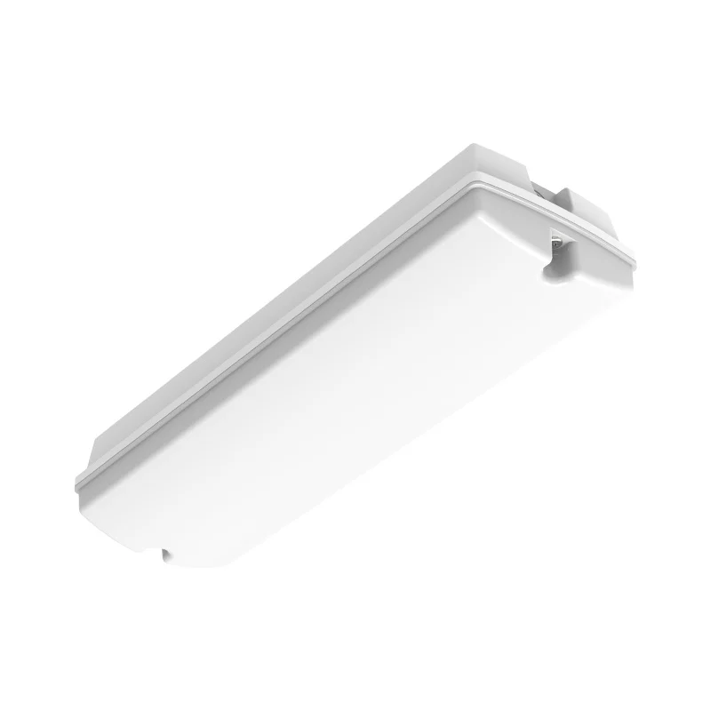 Iluminación de emergencia blanca, Pedram, 3W, LED 6500K, IP66