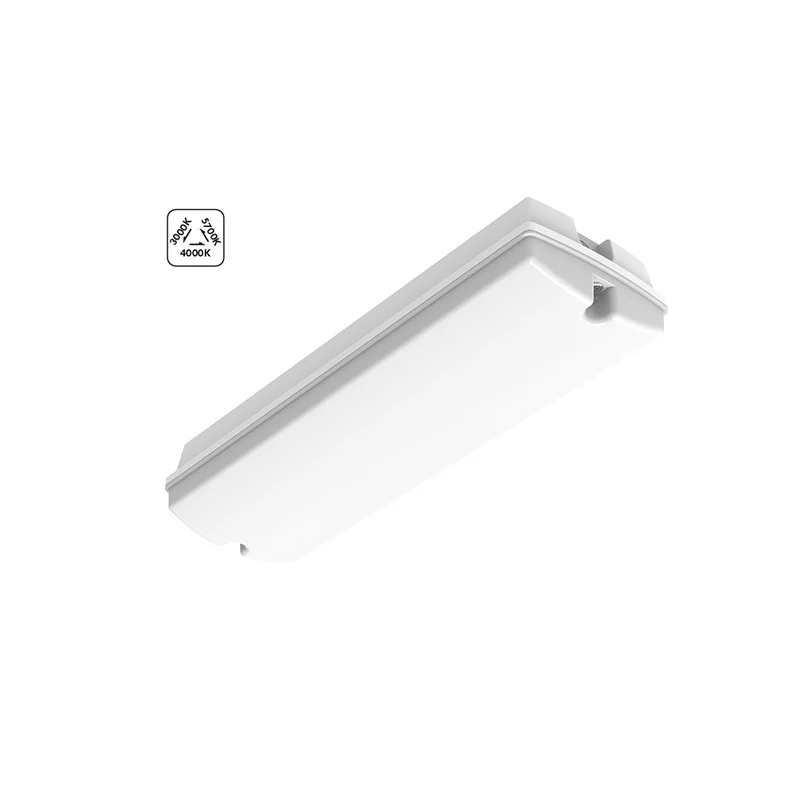 Iluminación de la galería blanca de plástico, Pedram, 4W, ajustable entre luz blanco cálido y frío LED, IP66