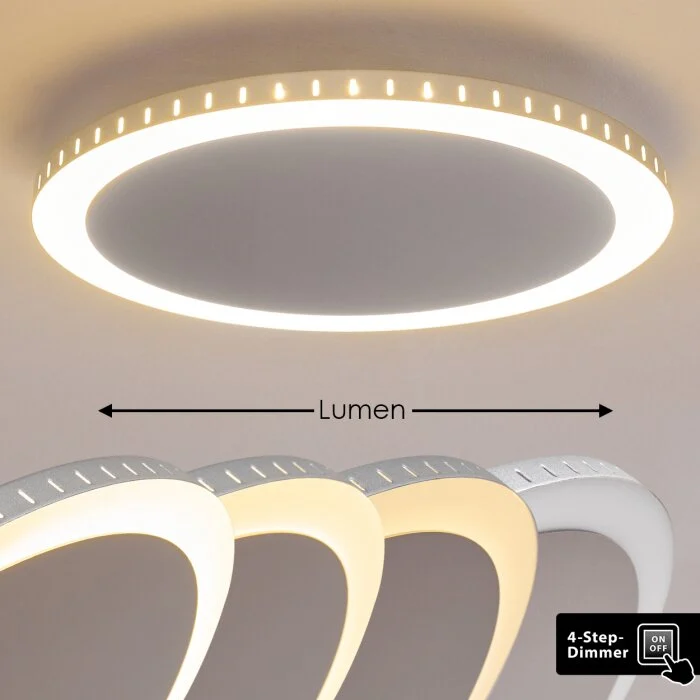 Aitrach Lámpara de Techo LED Plata, 1 luz