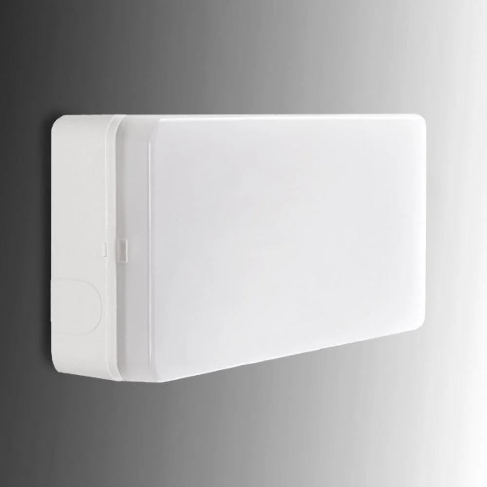 Alumbrado Emergencia LED Esera 100Lm 1 Hora IP44