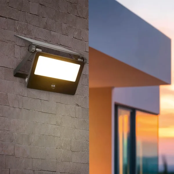 APLIQUE EXTERIOR SOLAR 10W 3000K-6000K SENSOR BASCULANTE IP54 MUSCARI