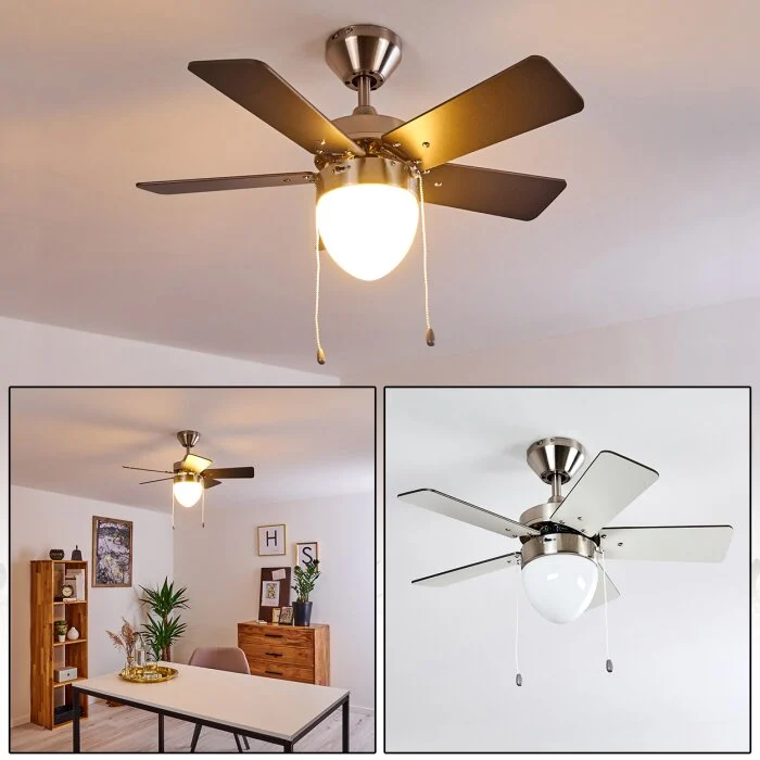 Ellmau Ventilador de techo Cromo, Gris, Blanca, 1 luz