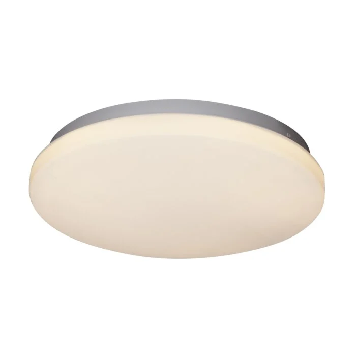 Globo Tarug Lámpara de Techo LED Blanca, 1 luz
