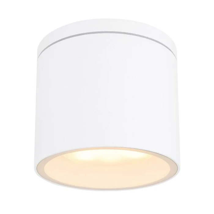 Lámpara de techo para exterior Globo ALCALA Blanca, 1 luz