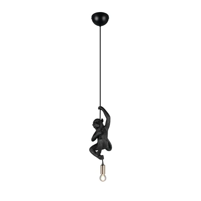 Lámparas Reality Fips Lámparas colgantes Negro, 1 luz