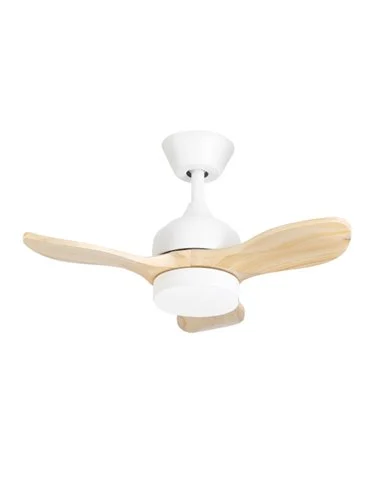 Mini ventilador de techo con luz Calar - FORLIGHT -  Ventilador LED pequeño y ultrasilencioso
