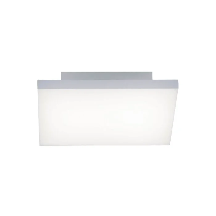 Paul Neuhaus FRAMELESS Lámpara de Techo LED Blanca, 1 luz, Mando a distancia
