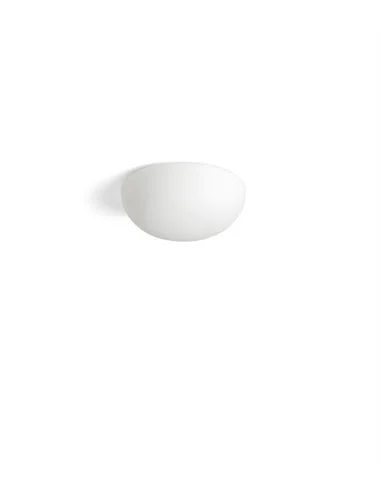 20 cm