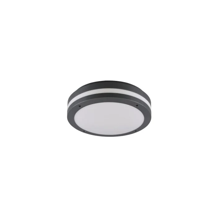Reality KENDAL Lámpara de techo para exterior LED Antracita, 1 luz
