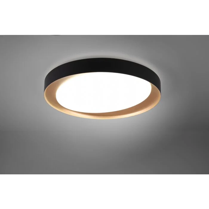Reality Zeta Lámpara de Techo LED Negro, 1 luz, Mando a distancia