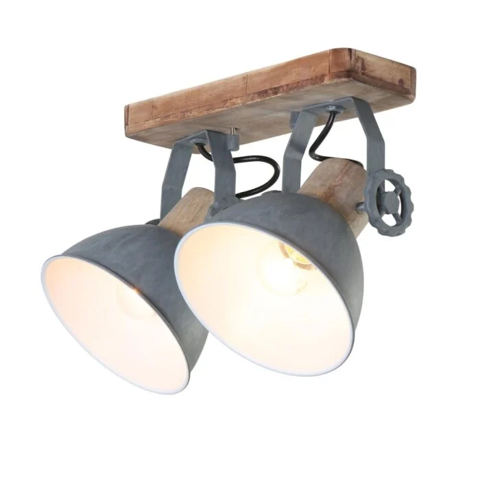 Steinhauer GEARWOOD Proyector Gris, 2 luces