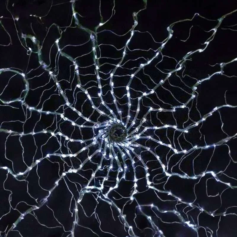Tela de araña 600 LEDs luz fría programable 175cm diámetro