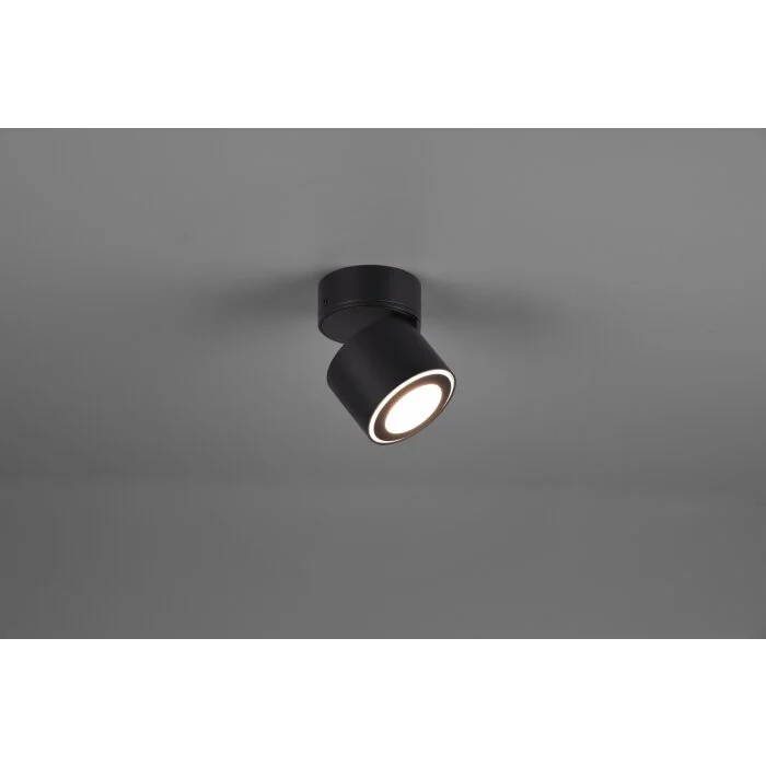 Trio Taurus Lámpara de Techo LED Negro, 2 luces