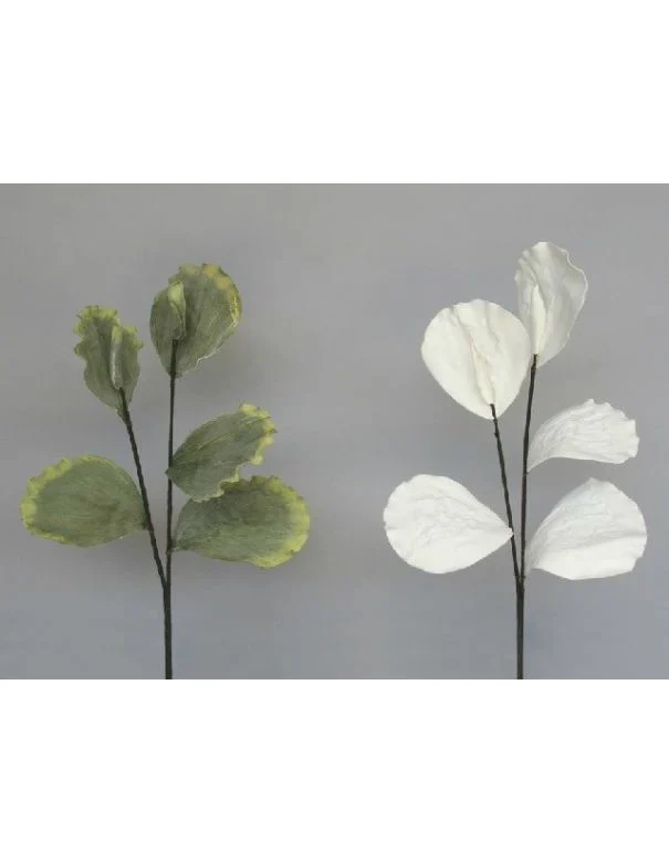 Vara Hoja Lotus Blanca